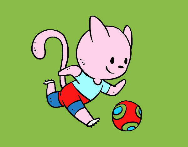 Gato jugando a fútbol