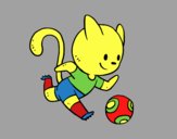 Gato jugando a fútbol