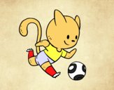 Gato jugando a fútbol