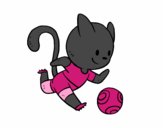 Gato jugando a fútbol