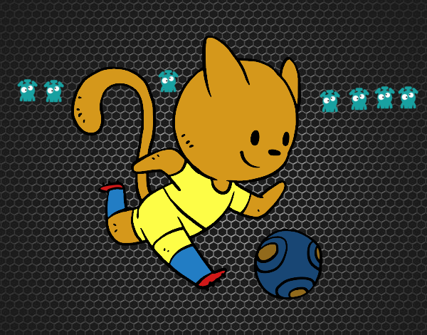 Gato jugando a fútbol