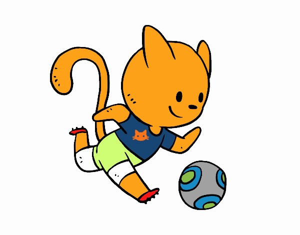 Gato jugando a fútbol