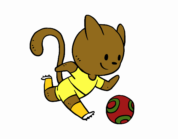 Gato jugando a fútbol