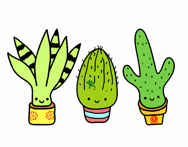 Mini cactus