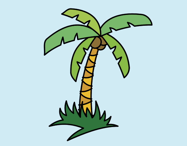 Palmera tropical