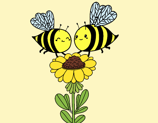 Pareja de abejas