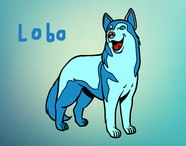 Lobo , la criatura mas bella , fuerte e inteligente . 