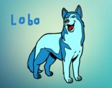 Perro lobo