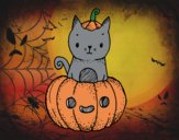 Un gatito de Halloween