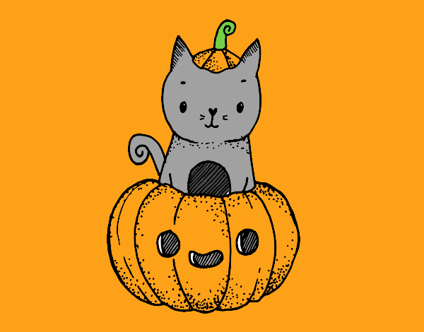 Un gatito de Halloween