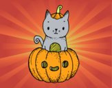 Un gatito de Halloween