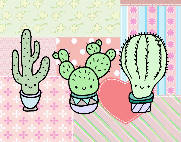 3 mini cactus