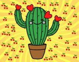 Cactus corazón