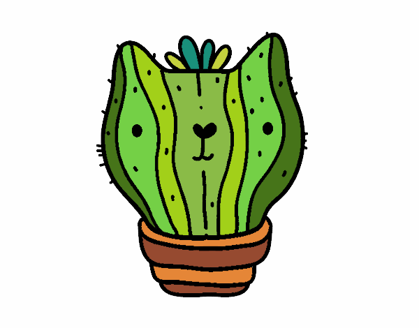 Cactus gato