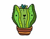 Cactus gato