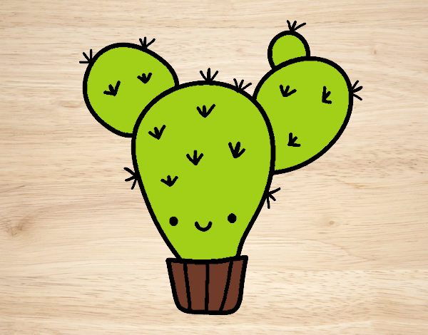 Cactus nopal