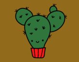 Cactus nopal