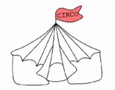 Circo