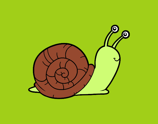 El caracol