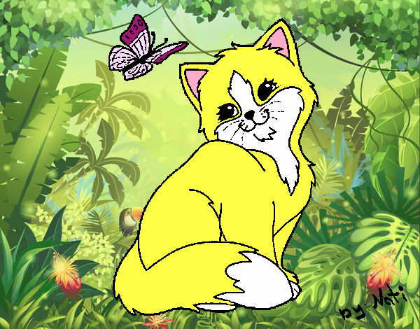 Gatito y mariposa