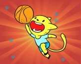 Gato jugando a baloncesto