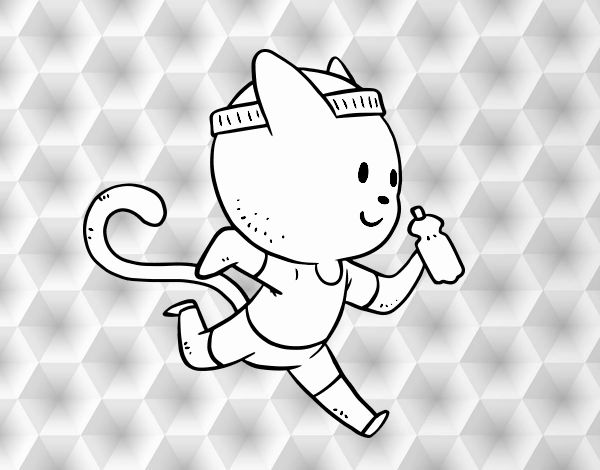 Gato runner