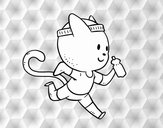 Gato runner