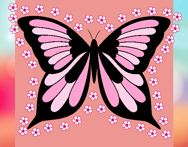 una hermosa mariposa