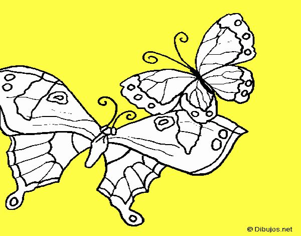 Mariposas