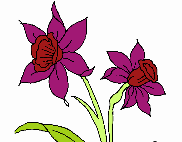 Dibujo de Orquídea pintado por en  el día 05-02-21 a las  01:37:46. Imprime, pinta o colorea tus propios dibujos!