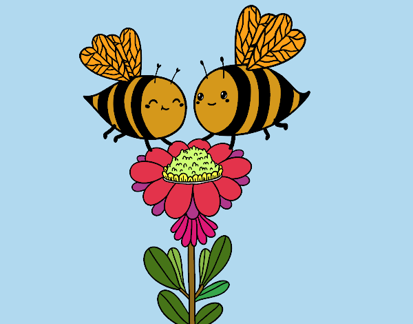 Pareja de abejas