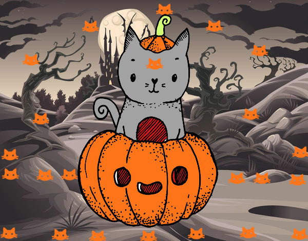 Un gatito de Halloween