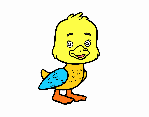 Un patito