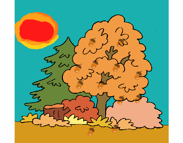 bosque otoño 