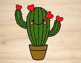 Cactus corazón