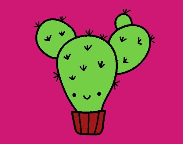 Cactus nopal