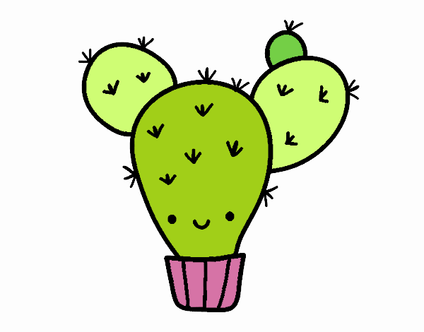 cactus nopal