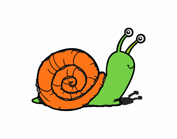 El caracol