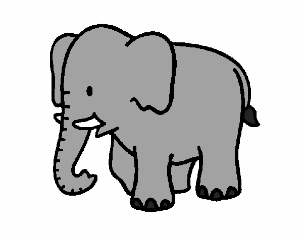  Dibujo de Elefante bebe    pintado por en Dibujos.net el día