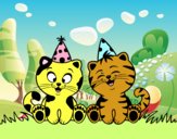 Gatos de cumpleaños