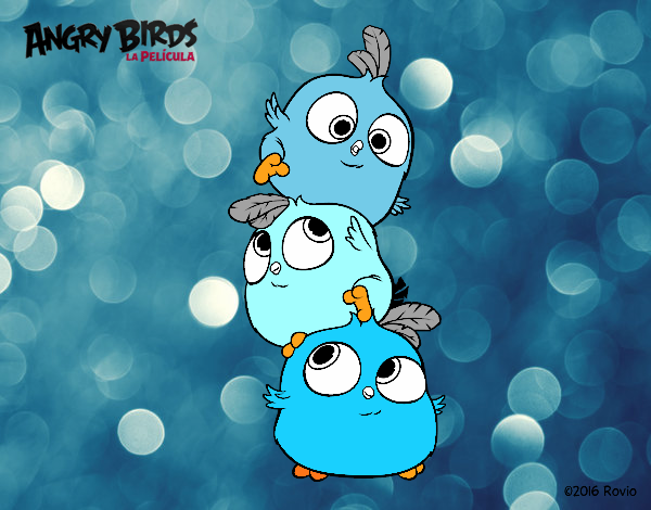 Las crias de Angry Birds