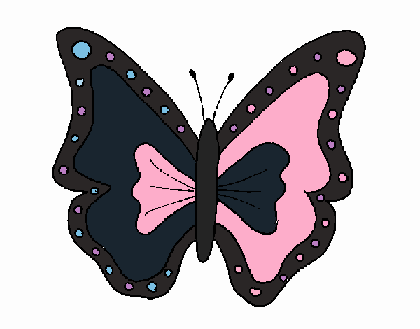 Mariposa 4a