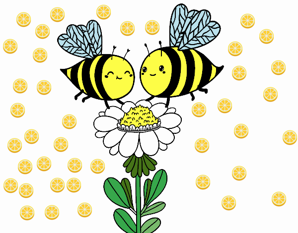 Pareja de abejas