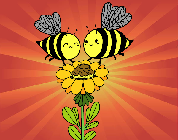 Pareja de abejas