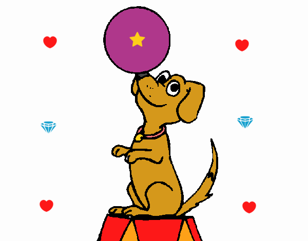 Perro de circo