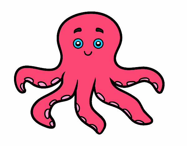 pulpo