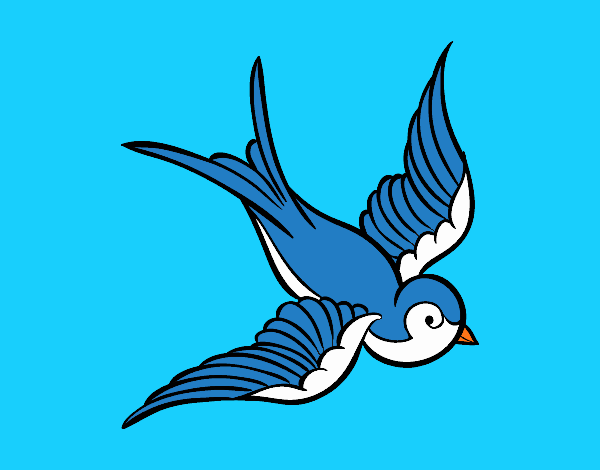 golondrina