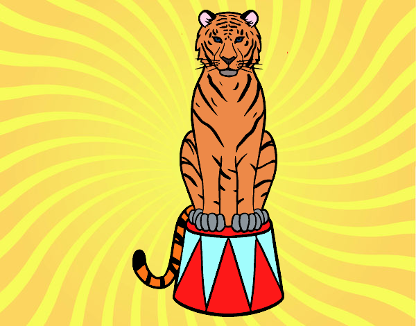 Tigre de circo