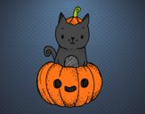 Un gatito de Halloween