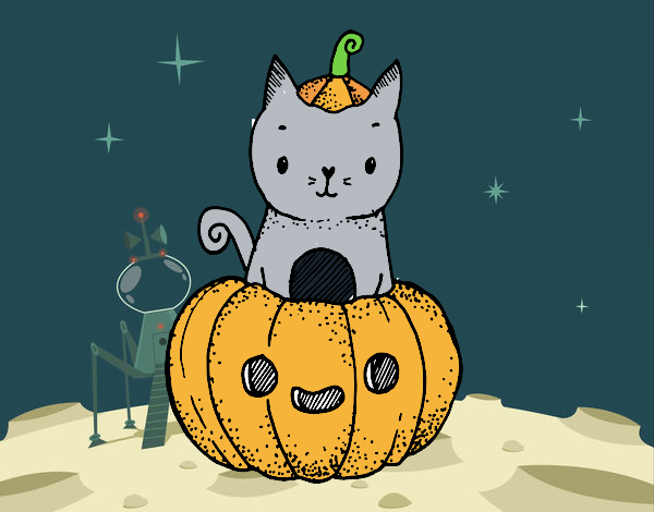 Un gatito de Halloween